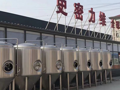 屯溪精酿啤酒设备厂—市场规模与跨界新需求